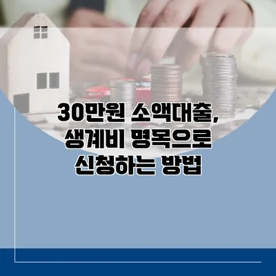 30만원 소액대출, 생계비 명목으로 신청하는 방법
