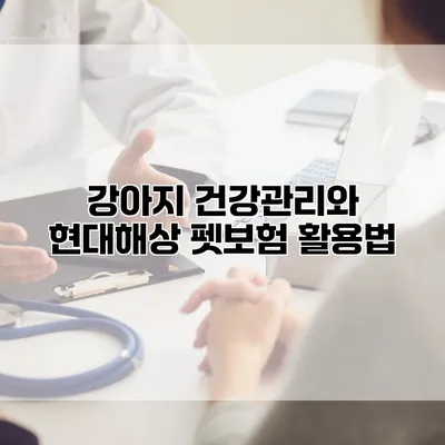 강아지 건강관리와 현대해상 펫보험 활용법