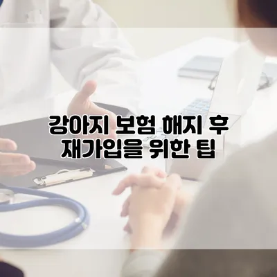 강아지 보험 해지 후 재가입을 위한 팁