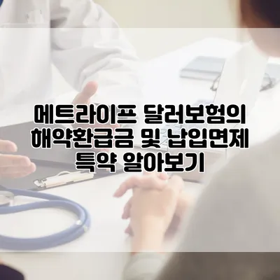 메트라이프 달러보험의 해약환급금 및 납입면제 특약 알아보기