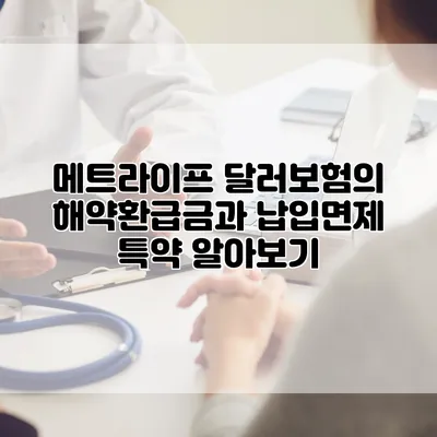 메트라이프 달러보험의 해약환급금과 납입면제 특약 알아보기