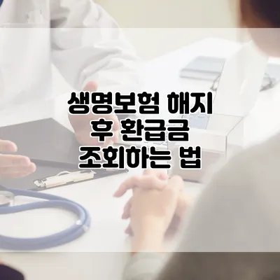 생명보험 해지 후 환급금 조회하는 법