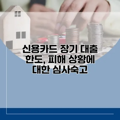 신용카드 장기 대출 한도, 피해 상황에 대한 심사숙고