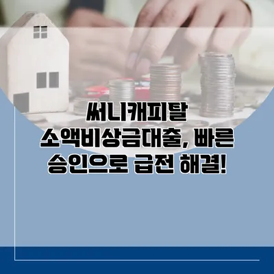써니캐피탈 소액비상금대출, 빠른 승인으로 급전 해결!