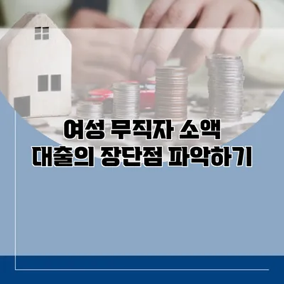 여성 무직자 소액 대출의 장단점 파악하기