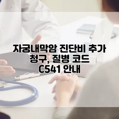 자궁내막암 진단비 추가 청구, 질병 코드 C541 안내