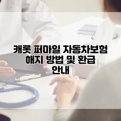 캐롯 퍼마일 자동차보험 해지 방법 및 환급 안내