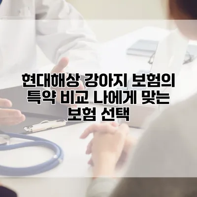 현대해상 강아지 보험의 특약 비교 나에게 맞는 보험 선택