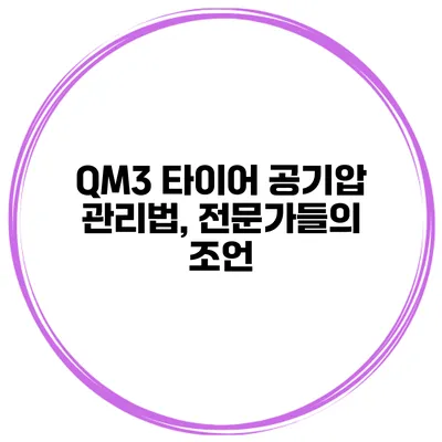 QM3 타이어 공기압 관리법, 전문가들의 조언