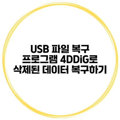 USB 파일 복구 프로그램 4DDiG로 삭제된 데이터 복구하기