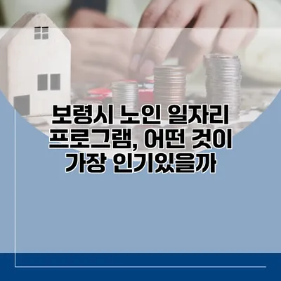 보령시 노인 일자리 프로그램, 어떤 것이 가장 인기있을까?