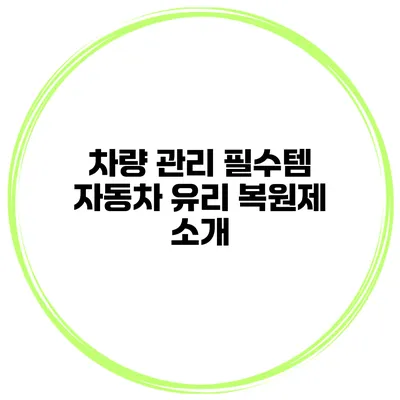 차량 관리 필수템 자동차 유리 복원제 소개