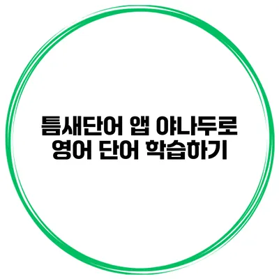 틈새단어 앱 야나두로 영어 단어 학습하기